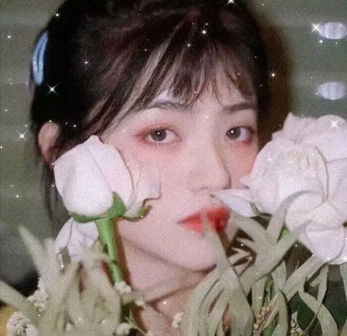 恨锁琼楼